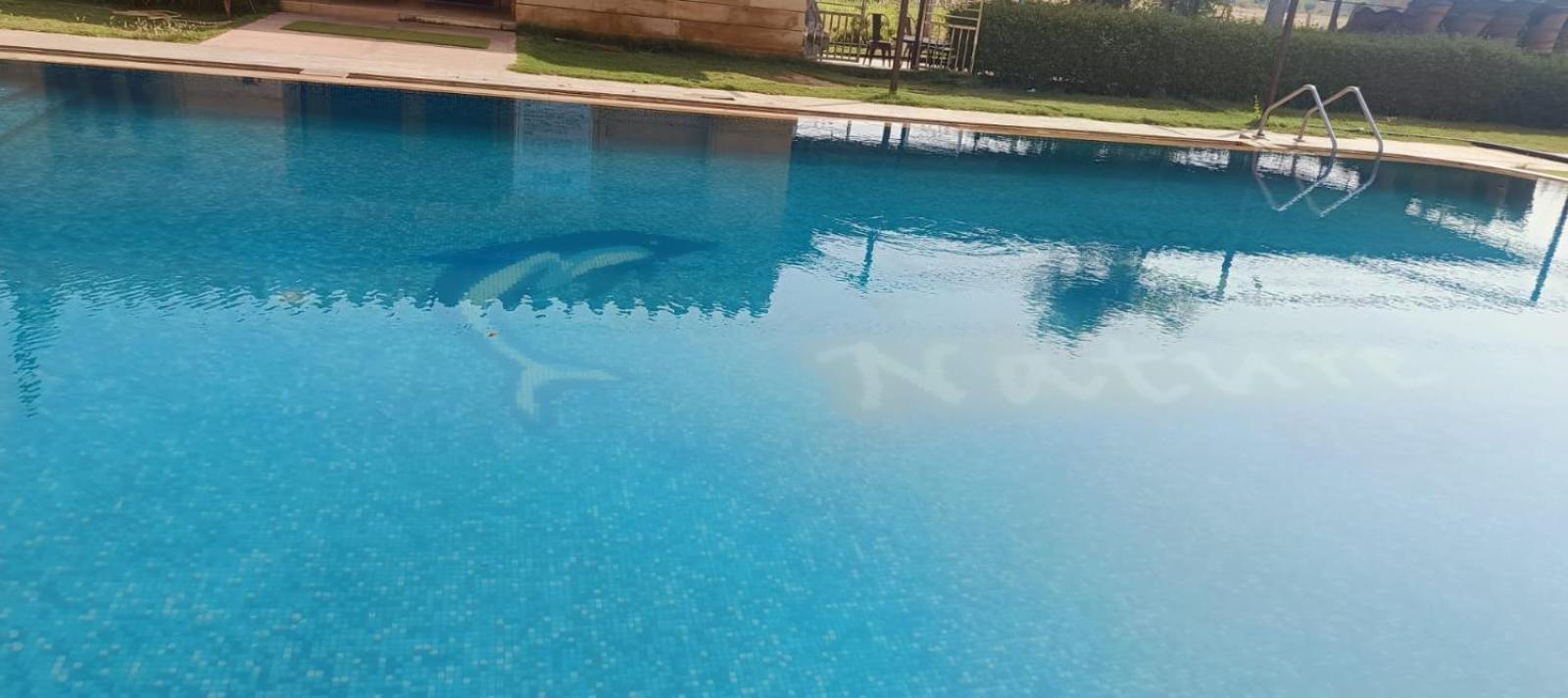 Moonlight Nature Resort & Swimming Pool Jaisalmer Luaran gambar